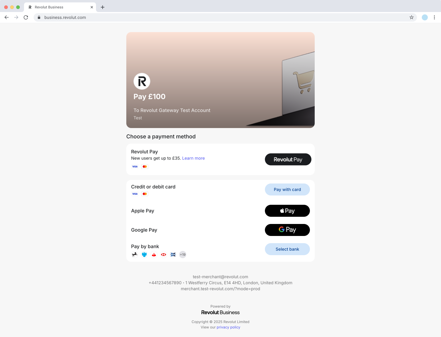 Hosted Checkout Page - Custom checkout page